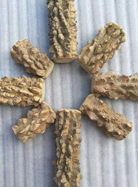 野生花椒木按摩棒手脚按摩