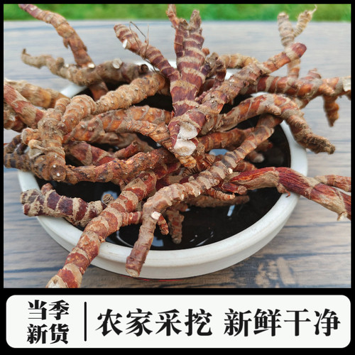 深山石菖蒲正宗品大别山野外生长石昌卜山菖蒲石昌蒲干无硫中药材 - 图2