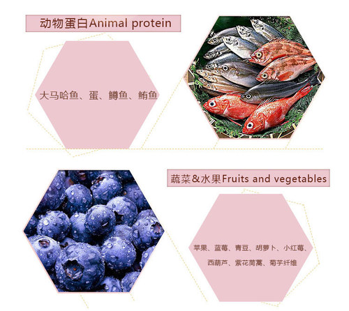 自然美达光环天然猫粮海鲜拼盘美毛去泪痕全猫幼猫18磅包邮 - 图2
