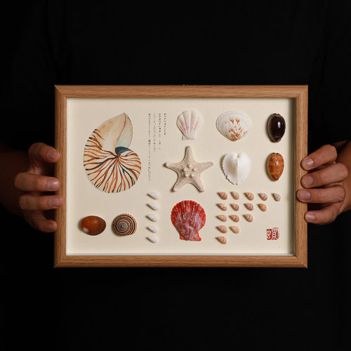 天然贝壳标本海螺相框diy手工装裱制作展示摆台家居装饰立体挂画 - 图1
