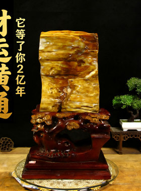 天然木化石树化玉原石客厅玄关开业乔迁礼品高端聚财镇宅风水摆件