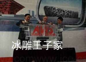 冰雕启动仪式/冰雕注酒/破冰仪式/冰雕公司/冰雕庆典/冰雕倒红酒