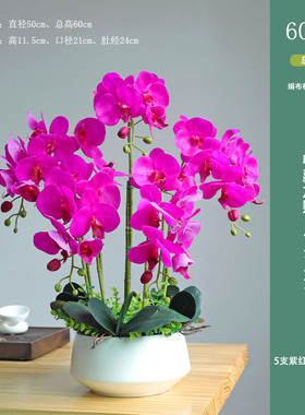 2024新款仿真花手感蝴蝶兰盆景盆栽花艺插花桌面装饰花艺摆件婚i.