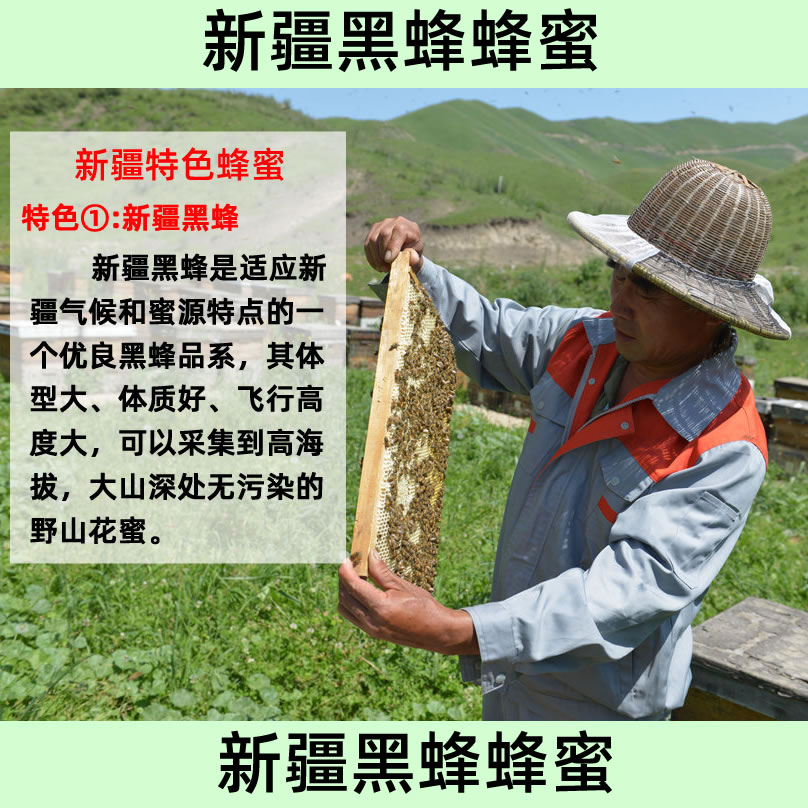 新疆黑蜂蜜纯蜂蜜天农家自产然无添加原生态百花蜜野山花蜜原蜜-图2