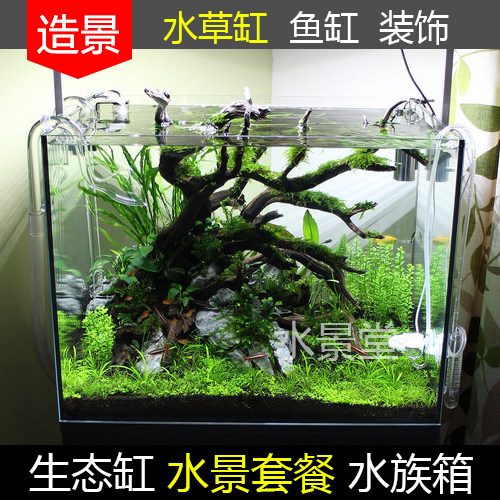 沉木造景套餐森森小金鱼缸小型水族箱超白玻璃客厅一木一叶 - 图0