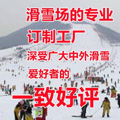 升级版滑雪护具儿童护臀护膝防摔卡通单板小乌龟白熊成人护肘滑冰 - 图1