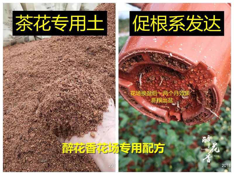 茶花植物专用土壤有机营养酸性土椰糠泥炭土沙性黄土透气性好热卖 - 图1