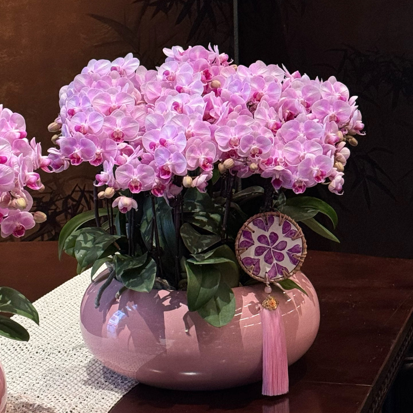 特大号蝴蝶兰花盆简约轻奢设计创意个性蝴蝶兰百搭花器桌面有孔,淘宝优惠券,粉丝福利购,淘宝优惠卷