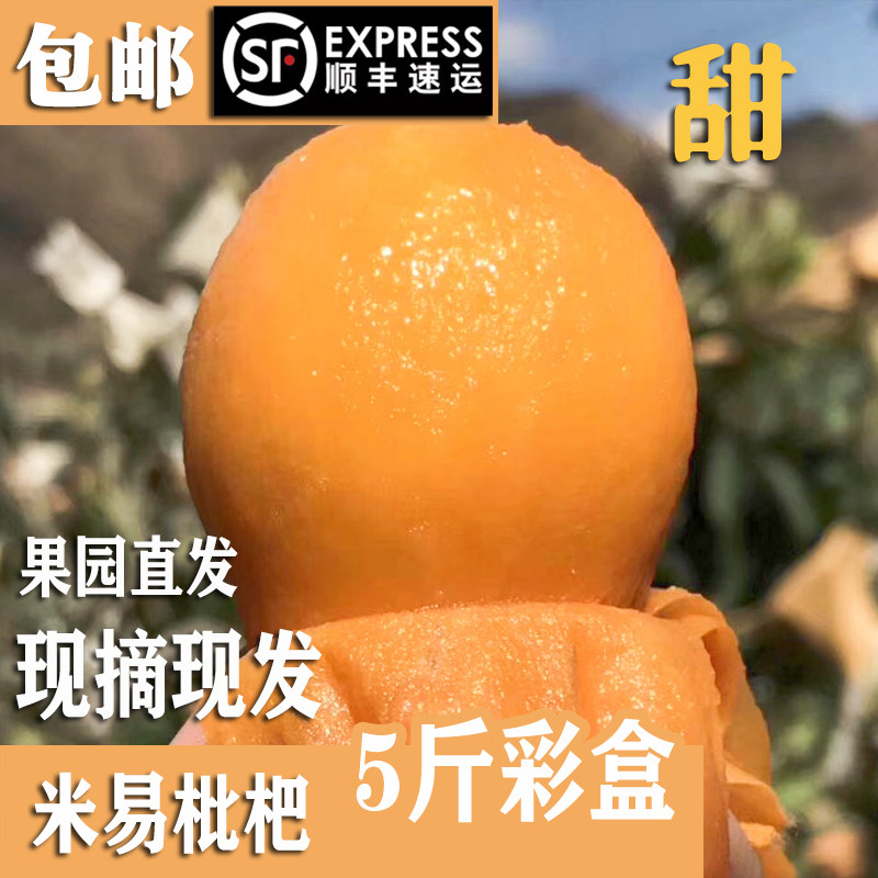 顺丰现货四川米易枇杷新鲜水果5斤当季整箱攀枝花现摘琵琶果包邮3