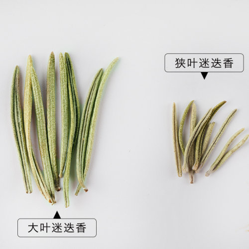 【13年老店】塔泽 手选大叶迷迭香  记性差掉发美腿无硫 罐装包邮 - 图2