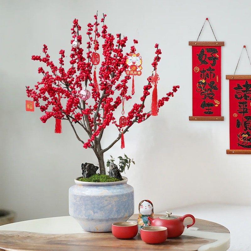 北美冬青盆栽红果真花广东年宵花室内客厅办公室花卉开业送礼植物,淘宝优惠券,粉丝福利购,淘宝优惠卷