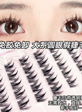 misswink自然粘假睫毛