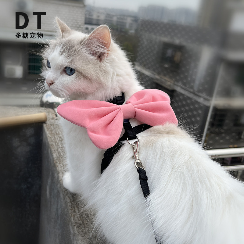 猫咪牵引绳高颜值小奶猫小型幼犬外出防走丢专用防挣脱遛猫溜狗绳,淘宝优惠券,粉丝福利购,淘宝优惠卷