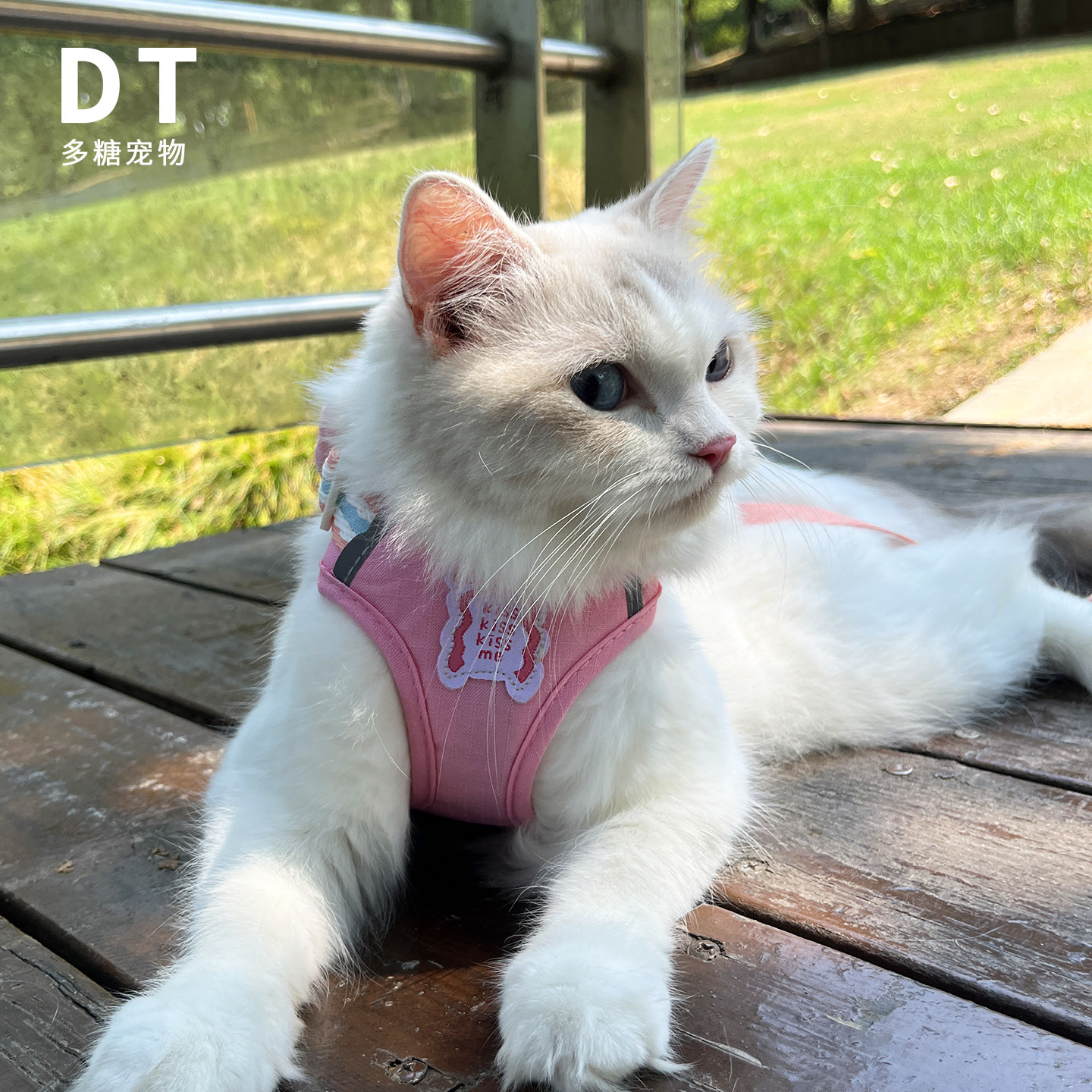 秋冬猫咪外出防挣脱牵引绳英短背心式遛猫绳猫链子小奶猫绳工字型,淘宝优惠券,粉丝福利购,淘宝优惠卷