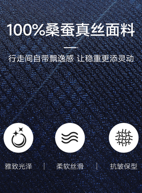 浪登经典商务正装桑蚕丝领带