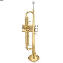 Walfer WTR-180G Small No. lacquered Gold Three Key Number Child Adult First Bronze Brass Instrument