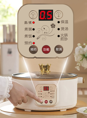 多功能家用电蒸锅小型多层蒸菜