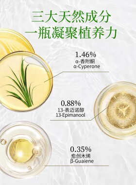 岩兰草单方精油稳固身心舒缓压力天然精油15ml