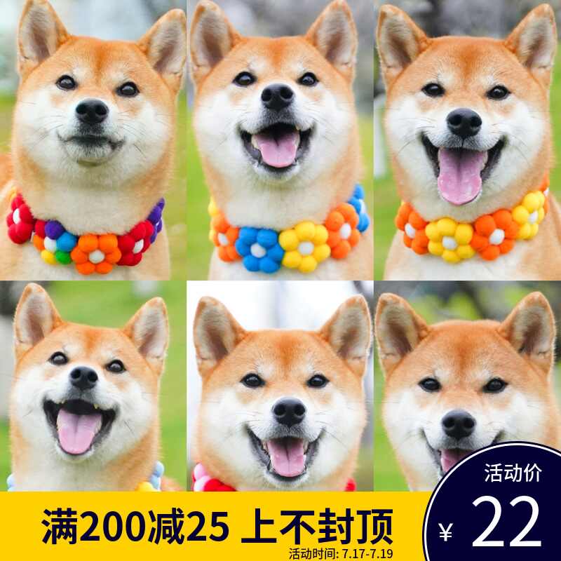 日本狗狗项圈 新人首单立减十元 21年7月 淘宝海外