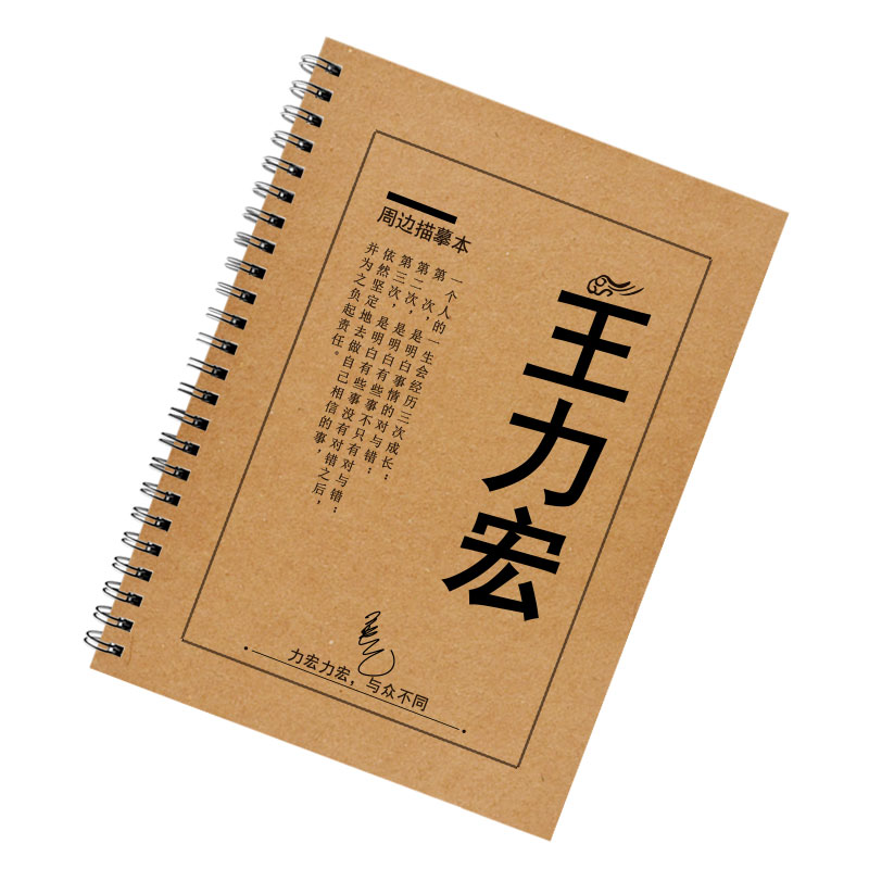 王力宏歌词本字帖周边签名专辑应援珍藏集歌词字帖成人练字帖速成-图3