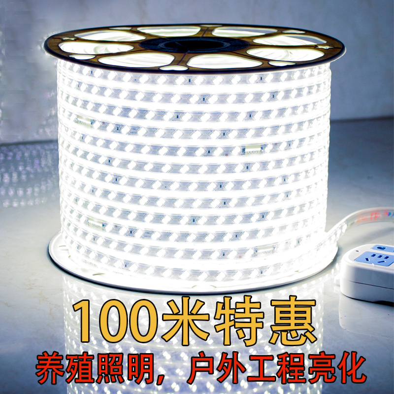 led灯带100米220V户外工程照明户外防水养殖塔吊工地地下室24V36V - 图0