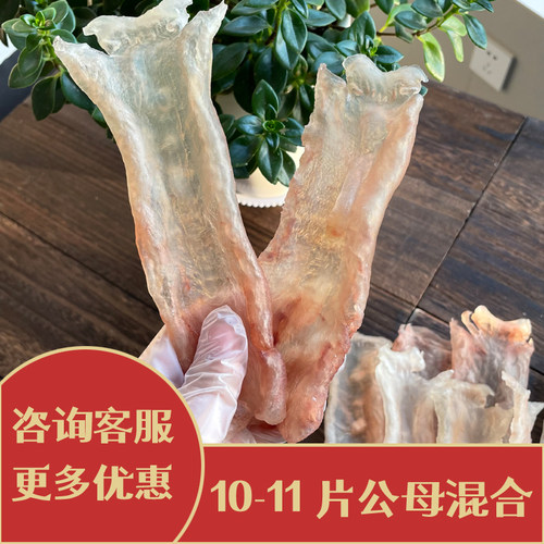 干货正品新西兰花胶深海鳕鱼胶鱼肚原色10-11片500g备孕孕妇月子 - 图1