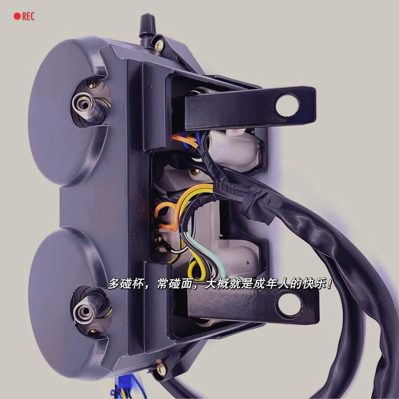 适用锐爽EN125-2-2A-2E-2F仪表米表码表里程表油表速度转速表公里 - 图1