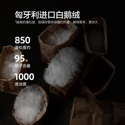 水星家纺锦奢银棉匈牙利白鹅绒冬被A类95白鹅绒被子保暖羽绒被芯 - 图0