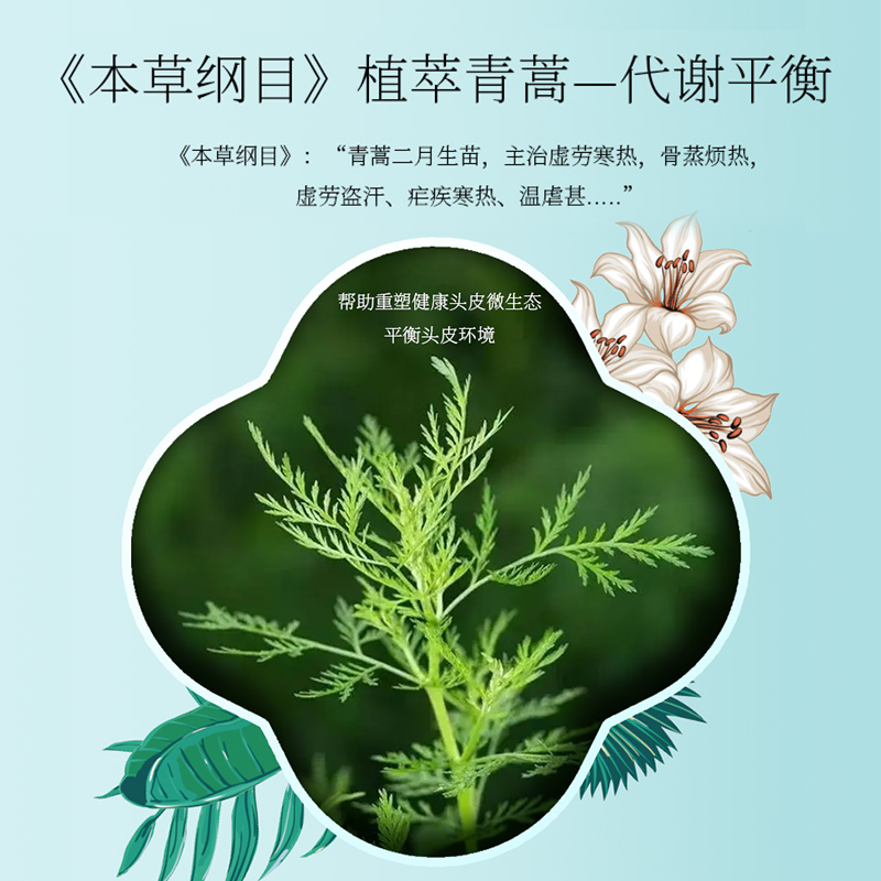 两面针青蒿洗发水控油蓬松去屑强韧头皮屏障清洁去油洗发水