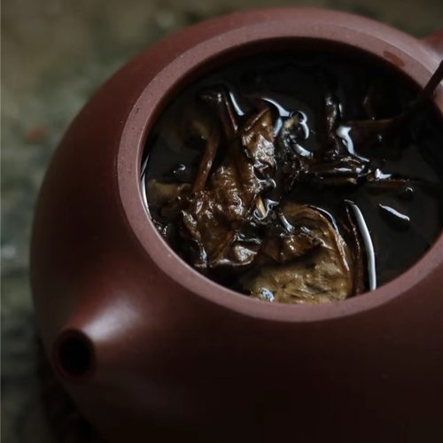 北仓丨2013年老寿眉 福鼎老白茶 2023出厂 秋茶适合煮茶焖茶350克 - 图2