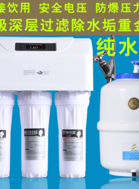 包邮去垢纯水机ro高端双出水厨房
