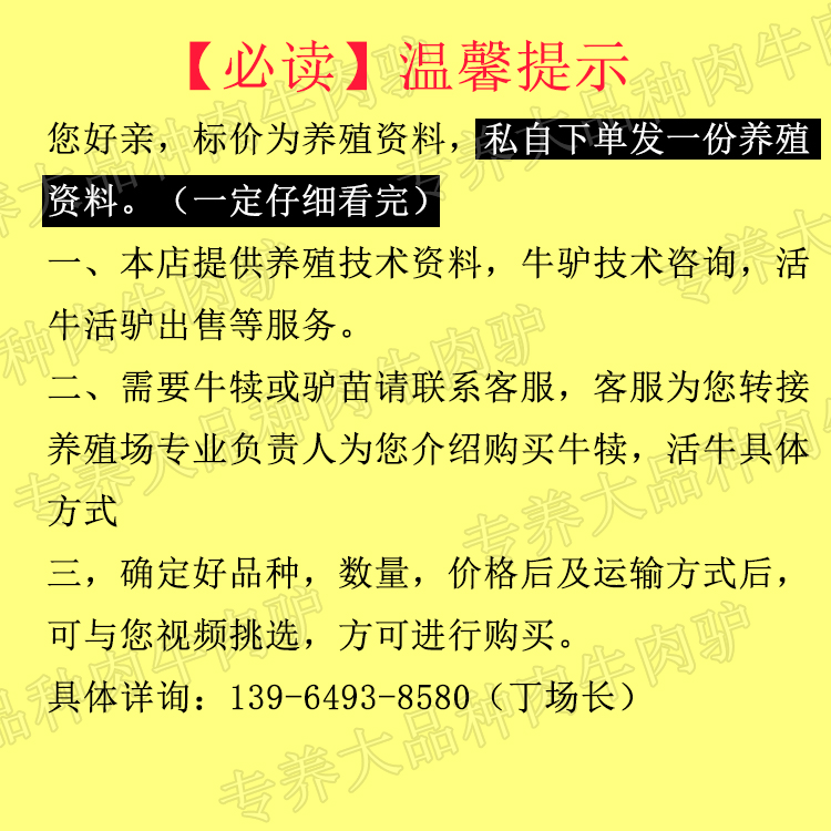 活牛小牛犊肉牛苗活体西门塔尔牛四川出售母牛鲁西黄牛改良牛养殖 - 图1