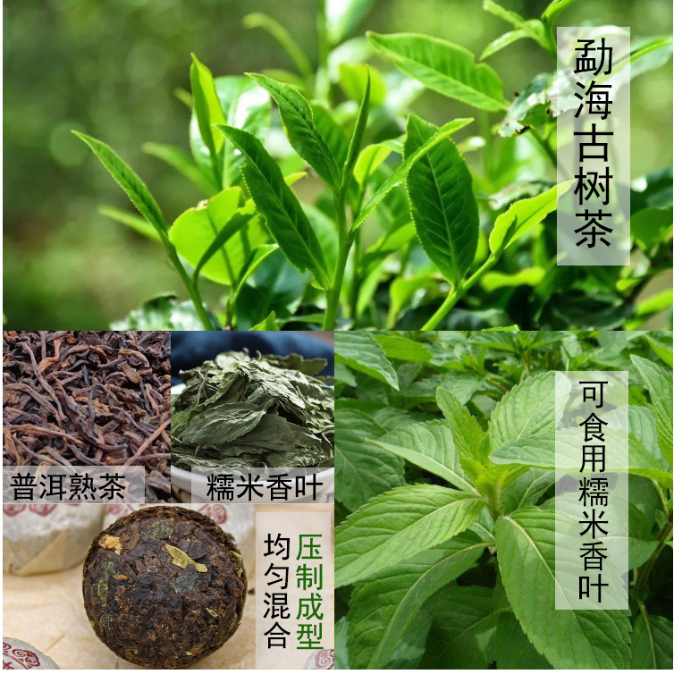 茶鼎房糯米香云南古树特级普洱茶熟茶迷你小沱茶小粒茶/500克包邮