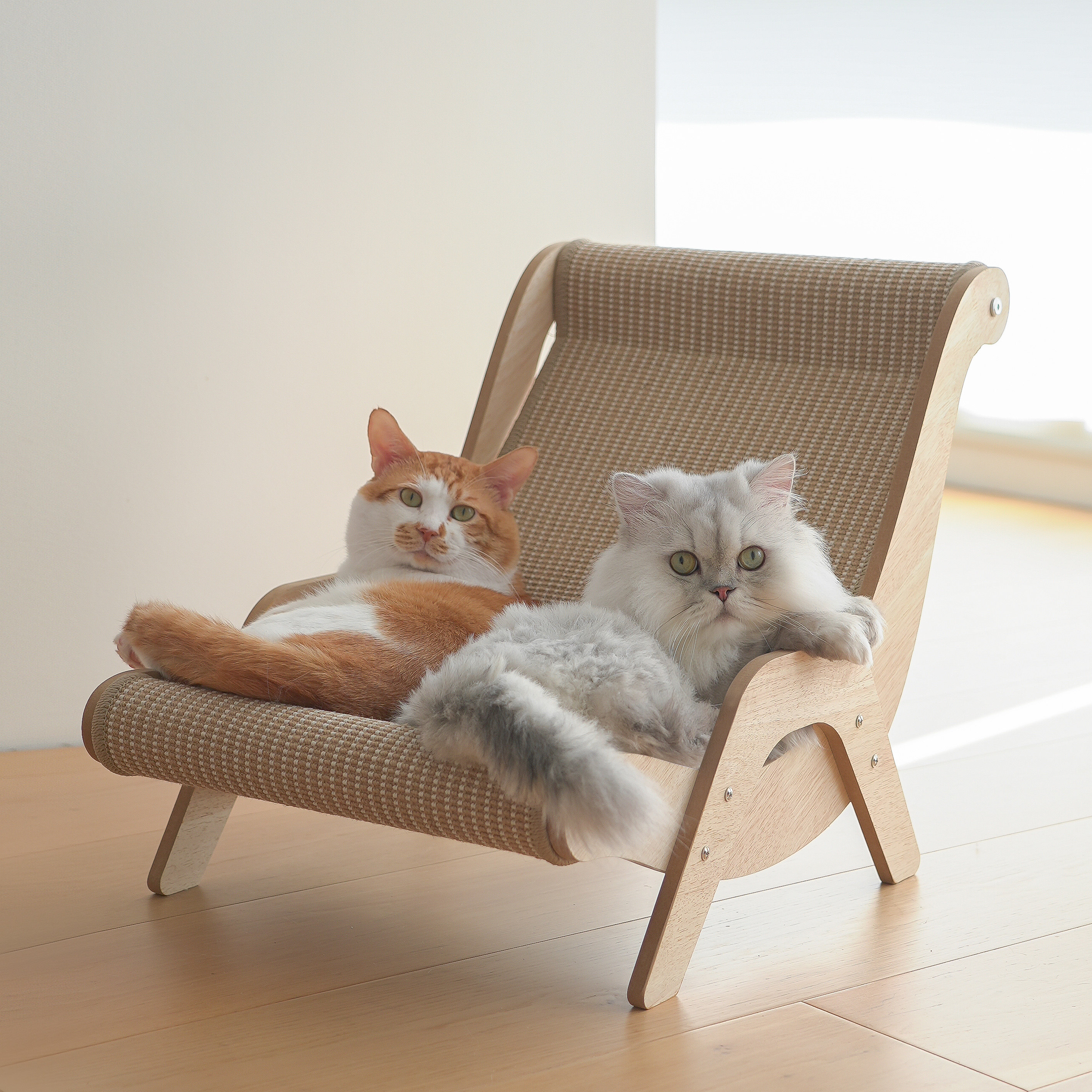 猫咪窝剑麻睡觉防抓沙发磨爪板吊篮床藤编躺椅人宠物用品四季通用,淘宝优惠券,粉丝福利购,淘宝优惠卷