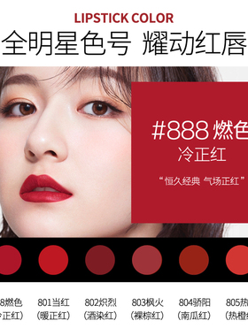 Skinmatch极密燃色柔雾显白口红