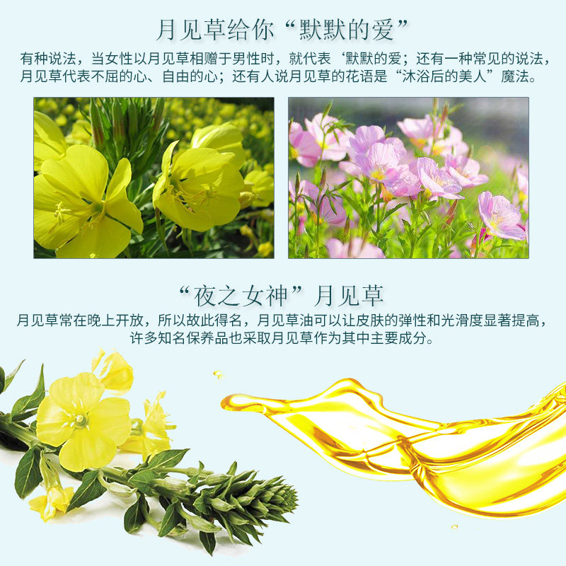 古云草美容护肤100ml 古云草基底精油