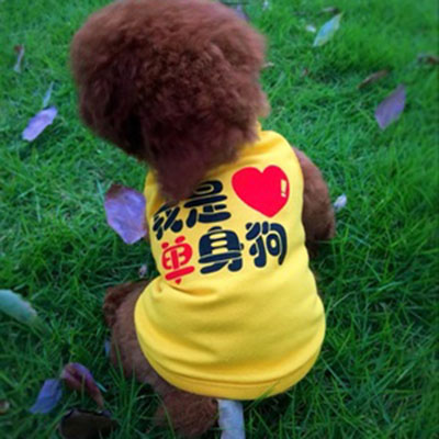 定制可改名字泰迪比熊博美猫咪宠物服装小型犬狗狗衣服夏季薄背心 - 图2
