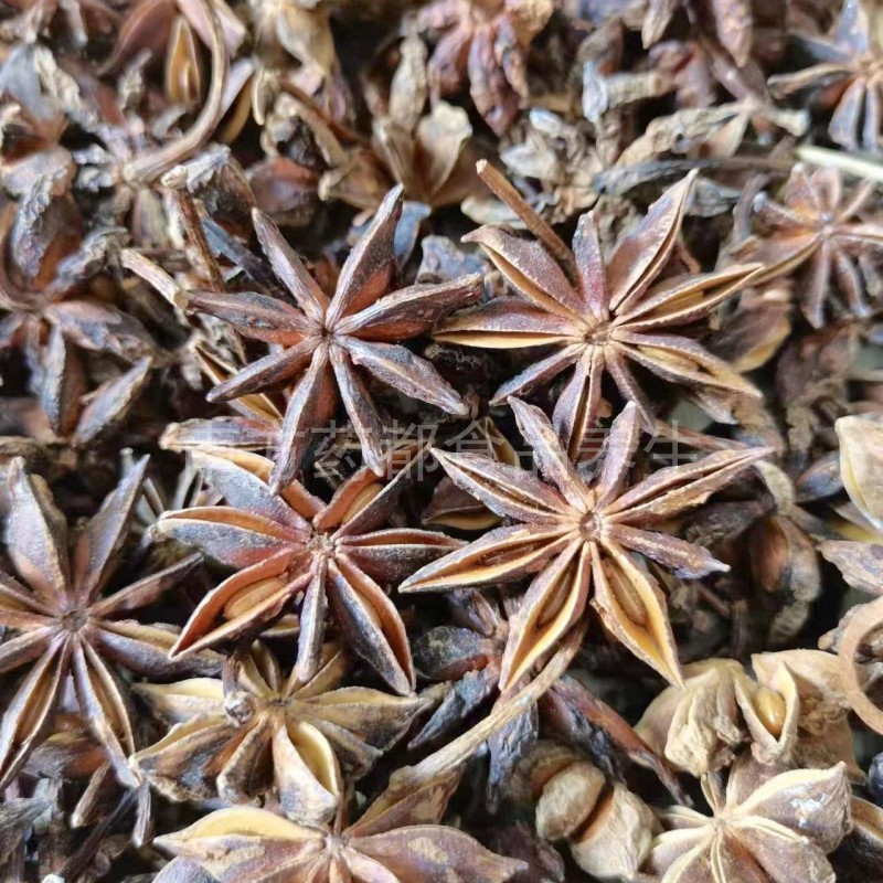 大红八角香料足干广西大料大茴香特级卤菜五香调料高品质纯干无硫 - 图0