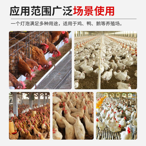 暖光led灯泡e27螺口节能灯泡蛋鸡灯鸡舍照明养殖场专用防水黄光灯 - 图1