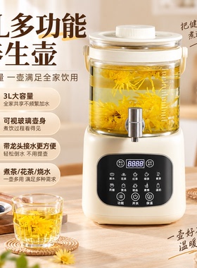 跨境出口110V和220V养生壶花茶壶大容量煮茶器药膳烧水壶恒温壶3L