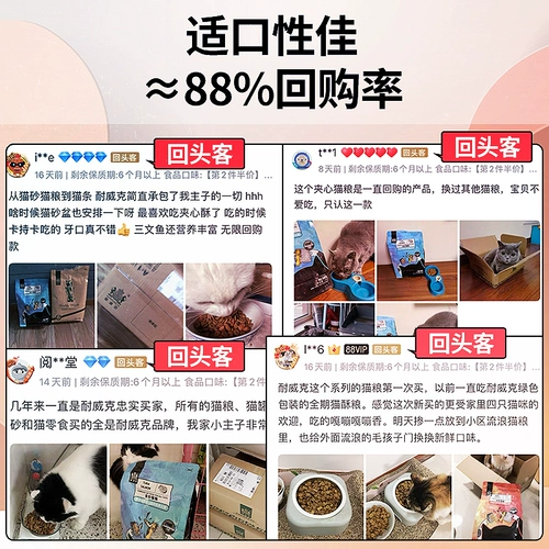 Naweik Sandwich Cat Food в кошачий котенок, жир, щеки, щеки, щека, короткая голубая кошачь