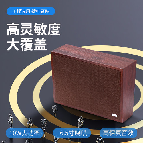 Hivi/惠威 TW101 10W木质壁挂音箱公共广播系统喇叭 教室挂壁音响 - 图0