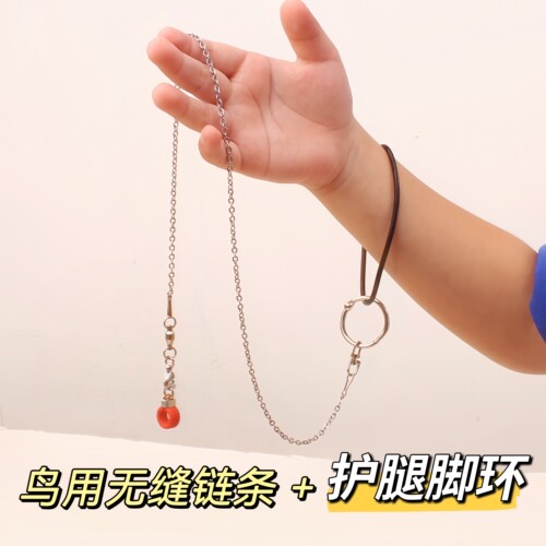 新款伯劳鸟脚套鹦鹉脚环鹩哥八哥鸟脚环鹦鹉脚环护腿不伤脚鸟链子 - 图0