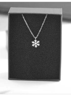 雪花吊坠项链女款轻奢小众气质配饰颈链2024新款简约高级感锁骨链