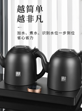 新功手柄上水电茶炉双壶同煮G56