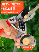 Japan cut twigs special scissors prunes prunes cutting fruit trees to cut flowers and cut garden cut coarse branches labor-saving sk5 clippings home