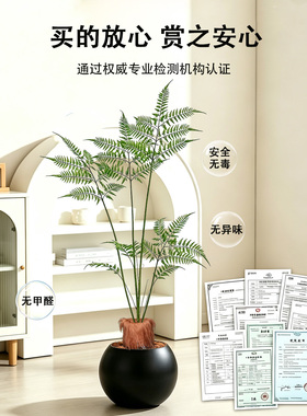 仿真绿植假高端轻奢大盆栽猴头蕨