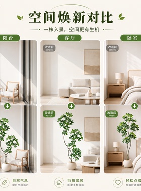 仿真绿植假鸭脚木高端轻奢室内客厅盆栽植物造景观仿生植物假绿植