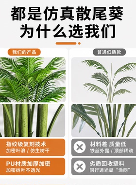 仿真绿植散尾葵家居饰品无甲醛