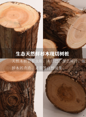 杉木桩石斛攀爬花池围栏装饰